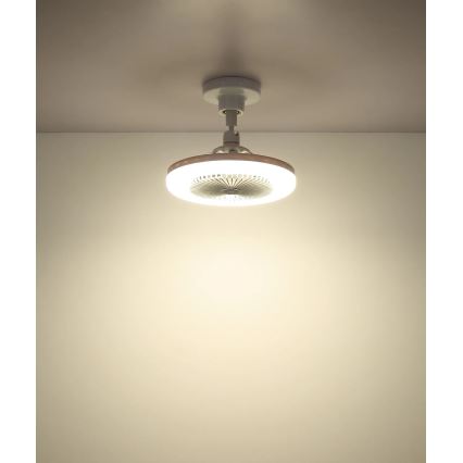 Globo - Ventilador de teto LED dimerizável LED/20W/230V 3000-6500K branco + controlo remoto