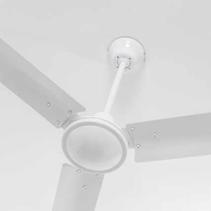 Globo 03806 - Ventilador de teto FERRO