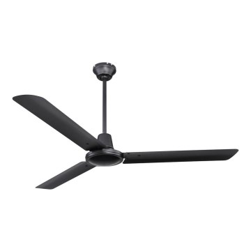 Globo 03807 - Ventilador de teto FERRO