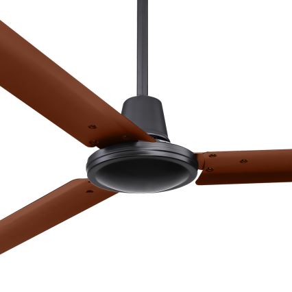 Globo 03815 - Ventoinha de teto FERRO