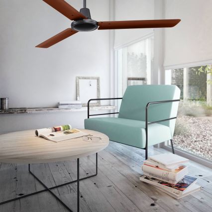 Globo 03815 - Ventoinha de teto FERRO