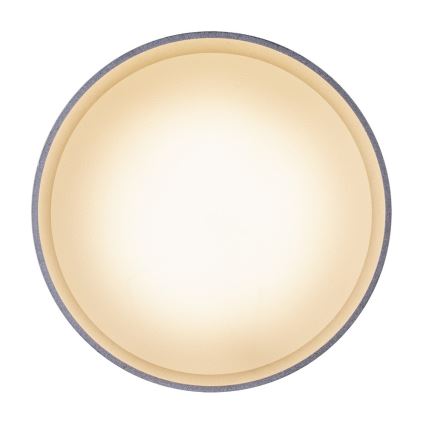 Globo - Plafon LED LED/8W/230V + LED/4W/230V