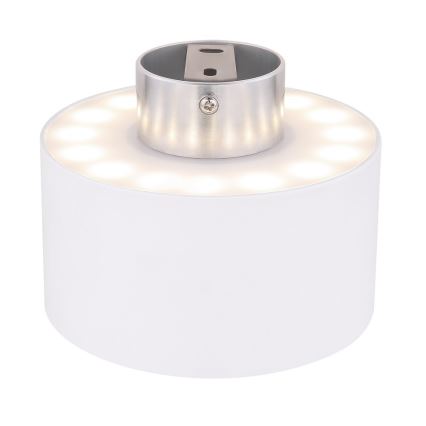 Globo - Luz de teto LED LED/16W/230V