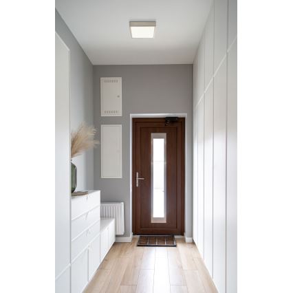 Globo - Luz de teto LED LED/15W/230V