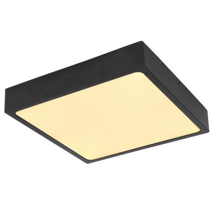 Globo - Luz de teto LED LED/22W/230V