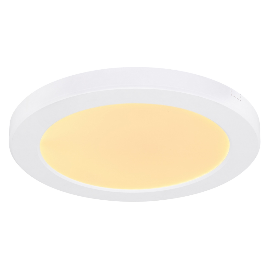 Globo - Iluminação de teto LED LED/18W/230V 3000/4000/6500K branco