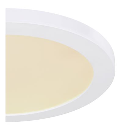 Globo - Iluminação de teto LED LED/24W/230V 3000/4000/6500K branco