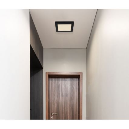 Globo - Iluminação de teto LED LED/12W/230V 3000/4000/6500K preto