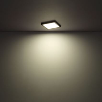 Globo - Iluminação de teto LED LED/24W/230V 3000/4000/6500K branco