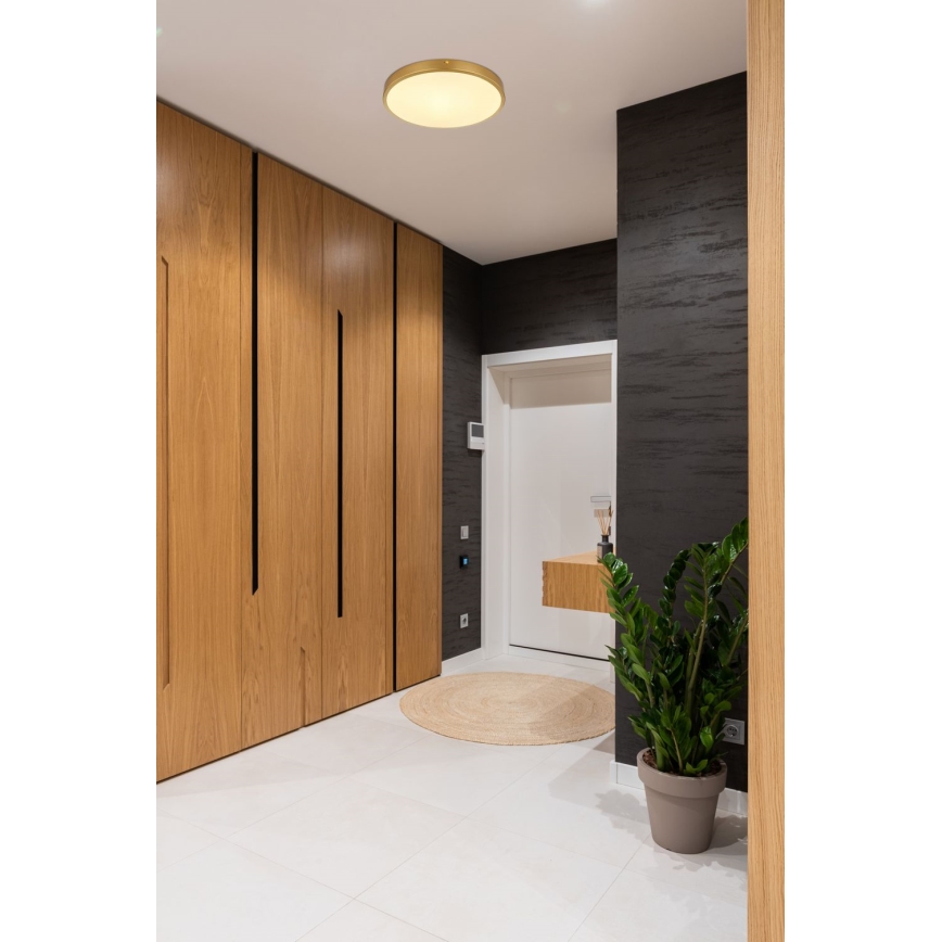 Globo - Iluminação de teto LED LED/22W/230V diâmetro 35 cm