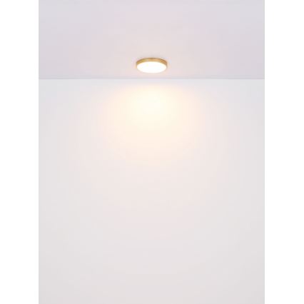 Globo - Iluminação de teto LED LED/22W/230V diâmetro 35 cm
