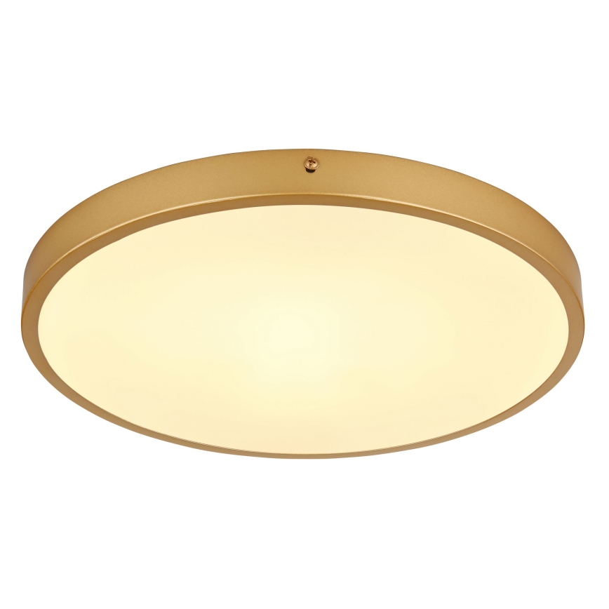 Globo - Iluminação de teto LED LED/22W/230V diâmetro 35 cm