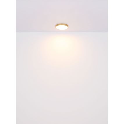 Globo - Iluminação de teto LED LED/30W/230V diâmetro 45 cm