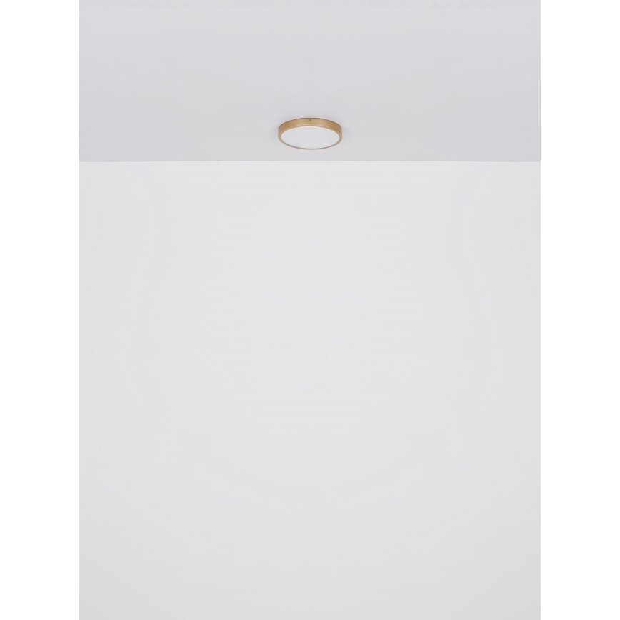 Globo - Iluminação de teto LED LED/30W/230V diâmetro 45 cm