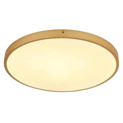 Globo - Iluminação de teto LED LED/30W/230V diâmetro 45 cm