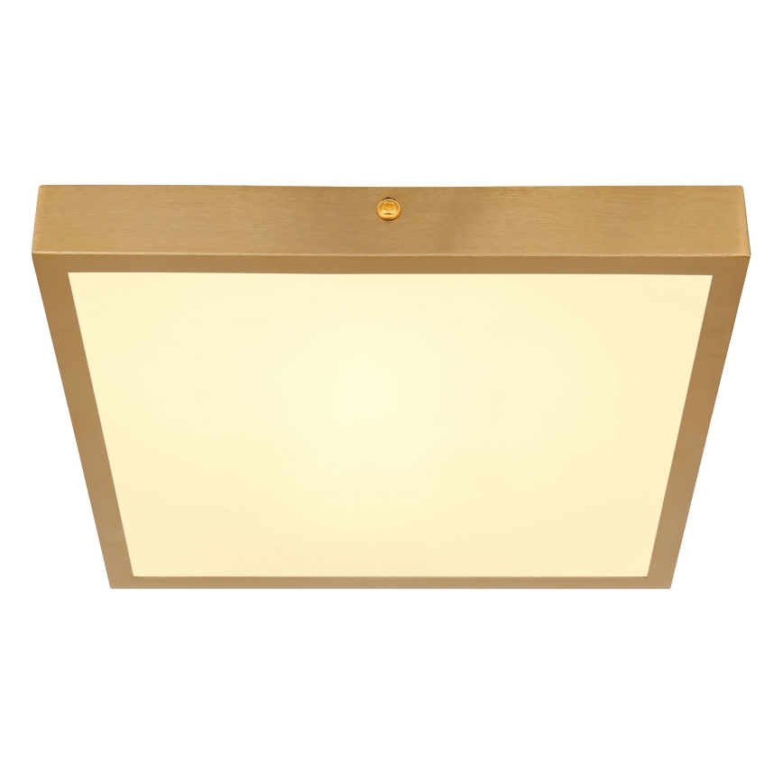 Globo - Iluminação de teto LED LED/15W/230V 25x25 cm