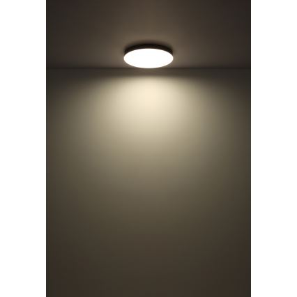 Globo - Iluminação de teto LED LED/24W/230V 3000K/4000K/6500K diâmetro 30 cm preto