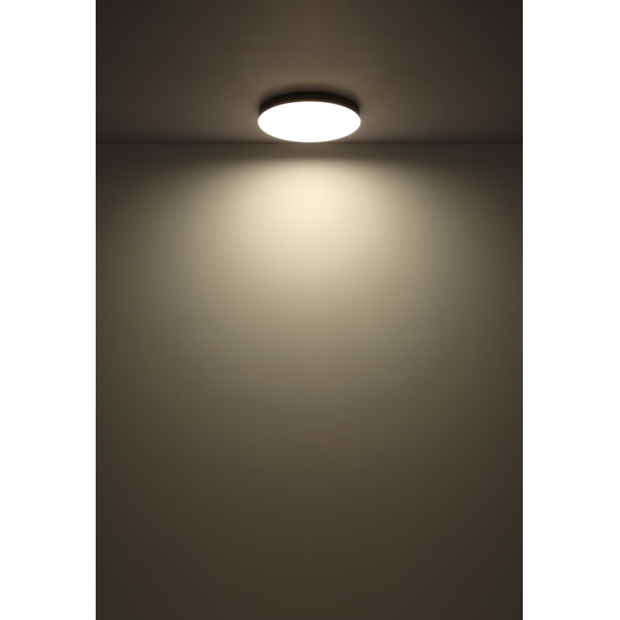 Globo - Iluminação de teto LED LED/36W/230V 3000K/4000K/6500K diâmetro 40 cm preto