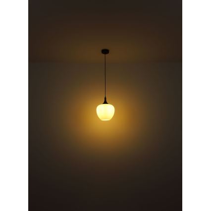 Globo - Candeeiro suspenso 1xE27/60W/230V diâmetro 29 cm branco/castanho