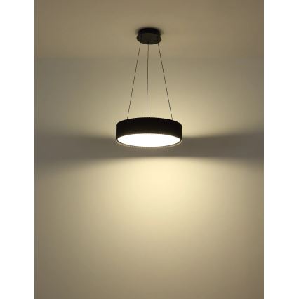 Globo - Pendente em cabo LED/45W/230V 2700/4000/6000K Ø 46 cm preto