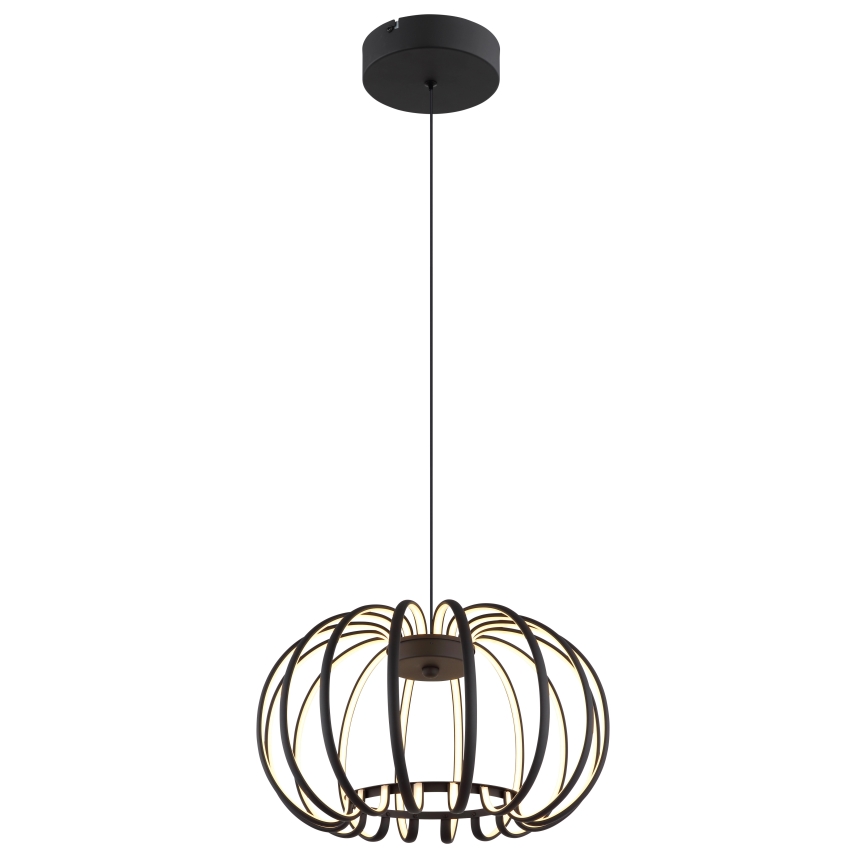Globo - Lustre LED dimerizável suspenso por cabo LED/40W/230V 3000K preto