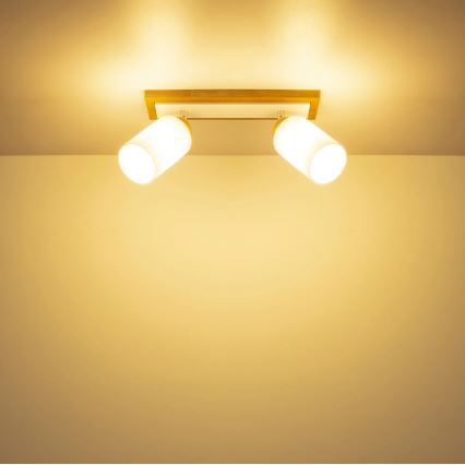 Globo - Candeeiro com focos 2xE27/60W/230V carvalho/branco