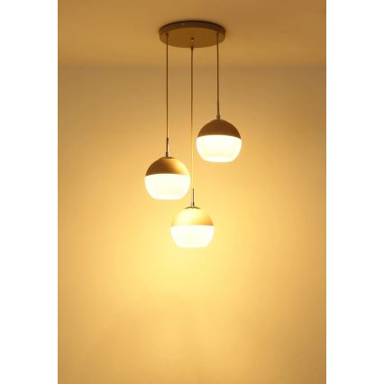 Globo - Lustre suspenso por cabo 3xE27/60W/230V