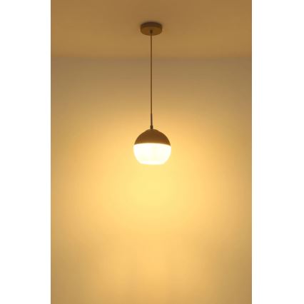 Globo - Lustre pendente com cabo 1xE27/60W/230V, Ø 20 cm