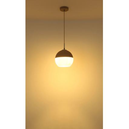 Globo - Lustre suspenso em cabo 1xE27/60W/230V Ø 25 cm