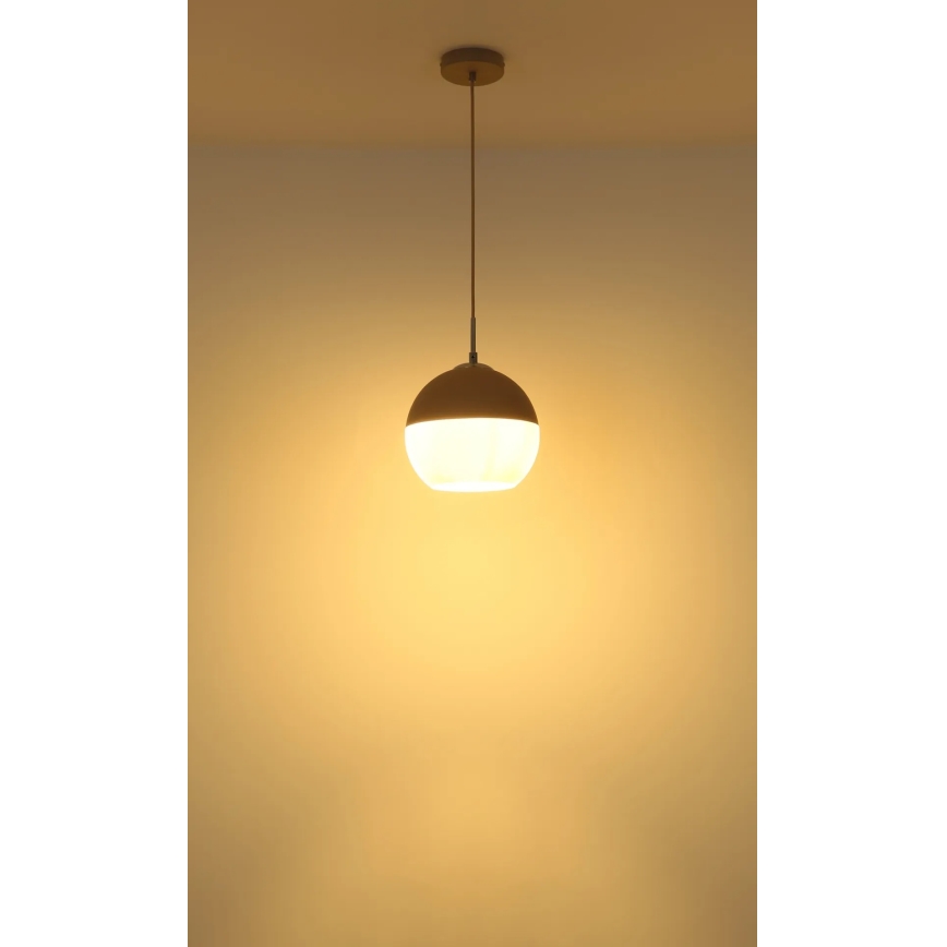 Globo - Lustre suspenso em cabo 1xE27/60W/230V Ø 25 cm