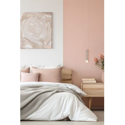 Globo - Candeeiro recarregável tátil LED dimerizável 2 em 1 LED/2W/230/5V