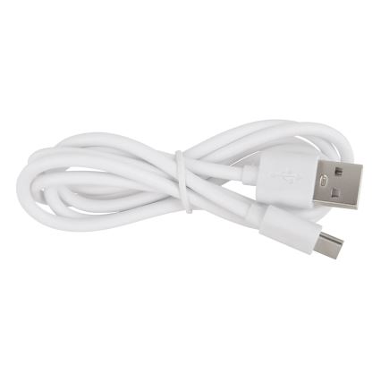 Globo - Candeeiro recarregável tátil dimerizável 2 em 1 LED/2W/230/5V branco