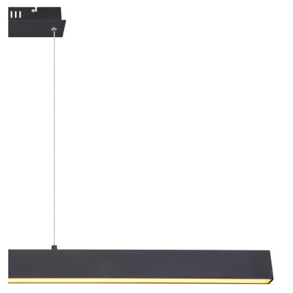 Globo - Lustre dimerizável em cabo LED/40W/230V 3000K