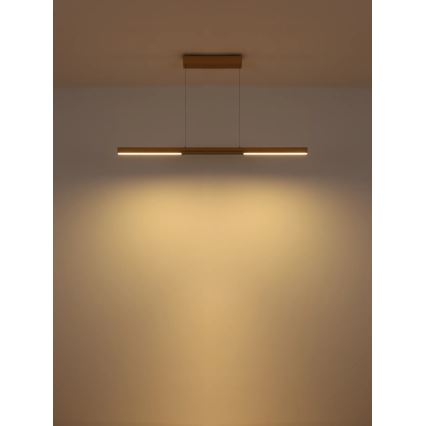 Globo - Lustre LED suspenso por cabo LED/24W/230V 3000K