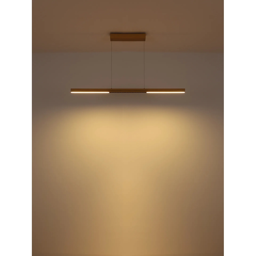 Globo - Lustre LED suspenso por cabo LED/24W/230V 3000K