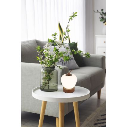 Globo - Lâmpada de mesa tátil LED regulável LED/2W/3,7V 2700K/4000K/6500K 1200 mAh USB castanha