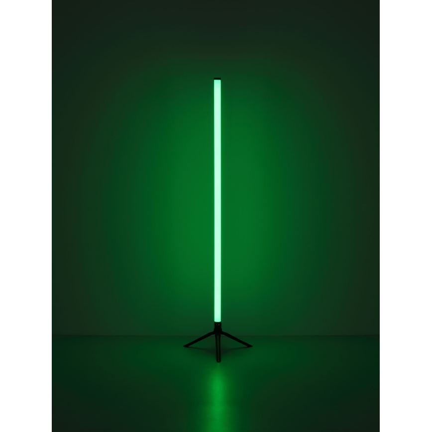 Globo - Lâmpada de pé LED RGB regulável LED/7W/5V + controlo remoto