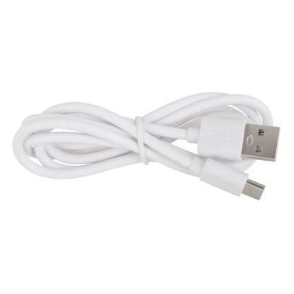 Globo - LED RGBW Luz noturna infantil recarregável dimerizável LED/1,5W/5V 1200 mAh capivara