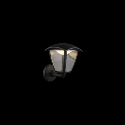Globo - Iluminação de parede exterior LED LED/7W/230V IP54