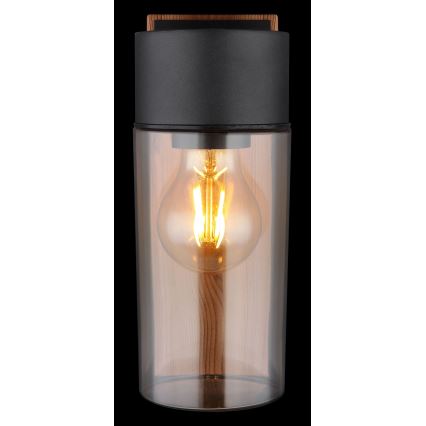 Globo - Iluminação de parede exterior 1xE27/40W/230V IP44