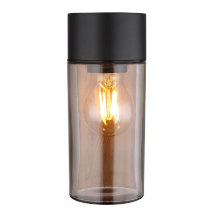 Globo - Iluminação de parede exterior 1xE27/40W/230V IP44