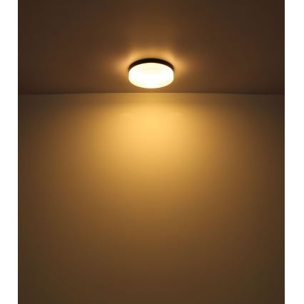 Globo - Iluminação de casa de banho 3xE27/60W/230V diâmetro 30 cm IP44