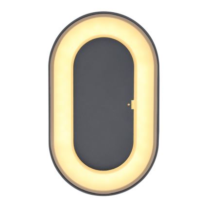 Globo - Iluminação de parede exterior LED LED/12W/230V IP65