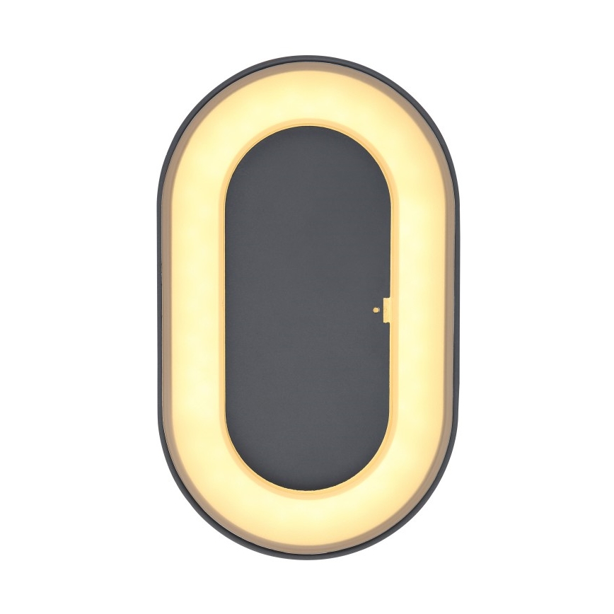 Globo - Iluminação de parede exterior LED LED/12W/230V IP65