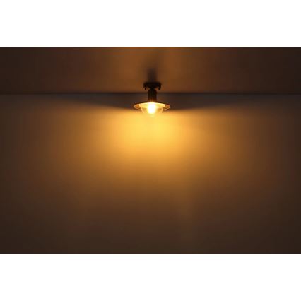 Globo 3274DW - Iluminação de teto LINDA 1xE27/15W/230V