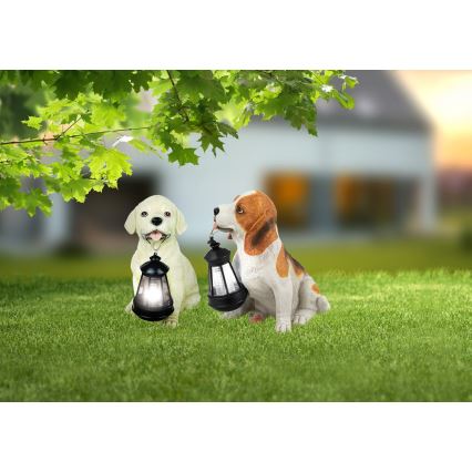 Globo - Candeeiro solar LED, 0,06 W / 3 V, em forma de cão, IP44, 600 mAh