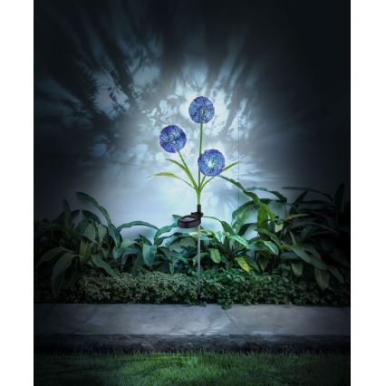 Globo - Iluminação solar LED 3xLED/0,06W/3V 5000K IP44 roxo