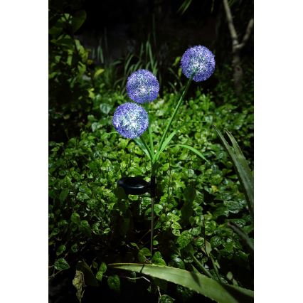 Globo - Iluminação solar LED 3xLED/0,06W/3V 5000K IP44 roxo