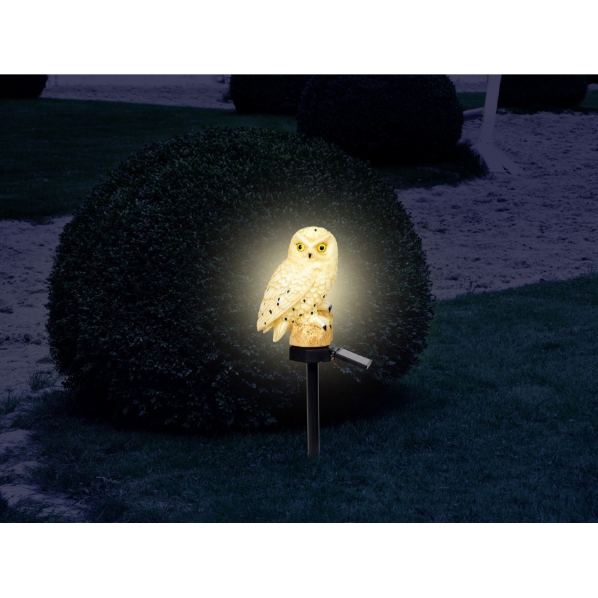 Globo - Iluminação solar LED LED/0,06W/3V IP44 coruja