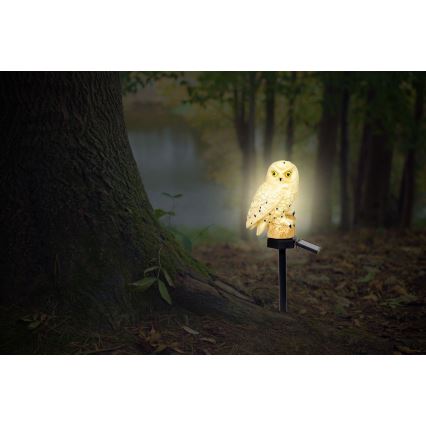 Globo - Iluminação solar LED LED/0,06W/3V IP44 coruja